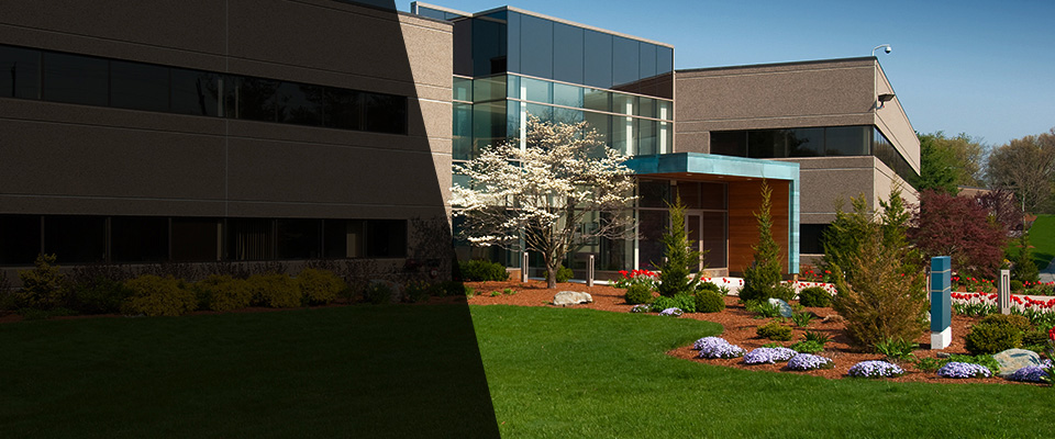 Georgiana Landscapers