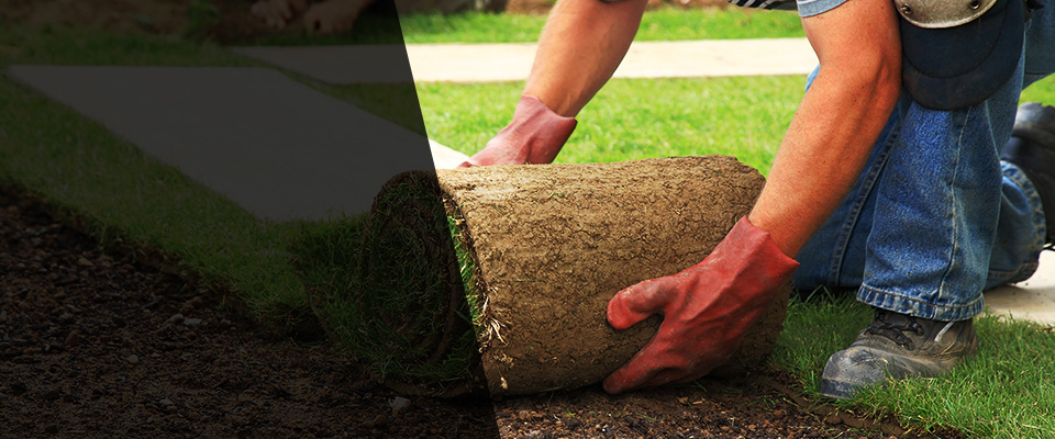 Georgiana Landscapers
